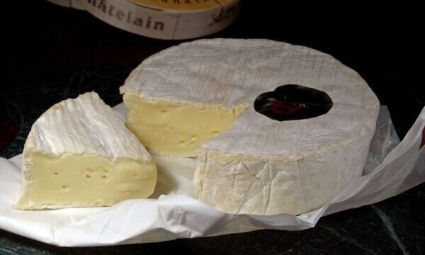 【食べやすい】カマンベールだけじゃない！魅力的な白カビチーズ5種類【きれい】